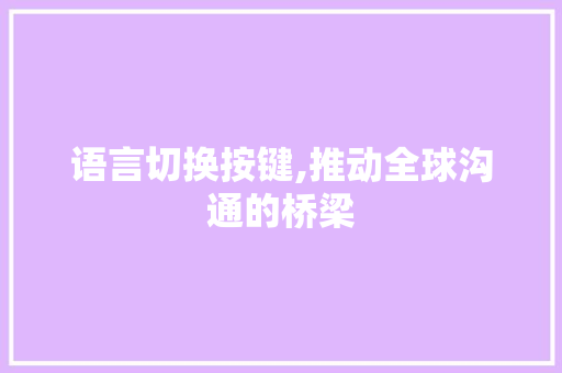 语言切换按键,推动全球沟通的桥梁