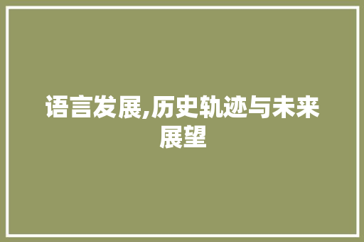 语言发展,历史轨迹与未来展望