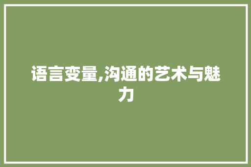 语言变量,沟通的艺术与魅力