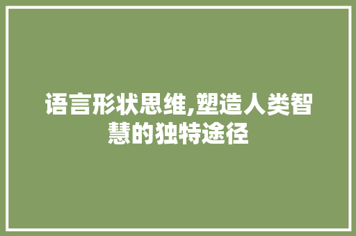 语言形状思维,塑造人类智慧的独特途径