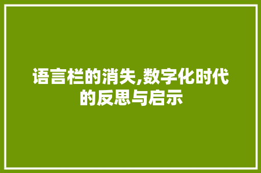 语言栏的消失,数字化时代的反思与启示