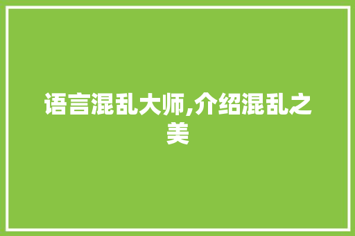 语言混乱大师,介绍混乱之美