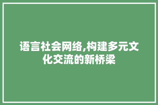 语言社会网络,构建多元文化交流的新桥梁