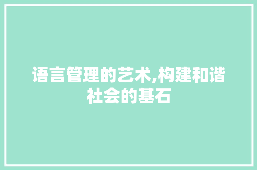 语言管理的艺术,构建和谐社会的基石