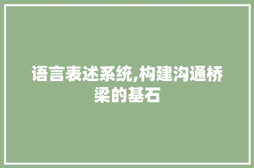 语言表述系统,构建沟通桥梁的基石