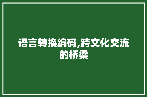 语言转换编码,跨文化交流的桥梁