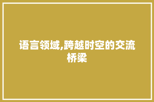 语言领域,跨越时空的交流桥梁