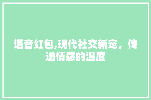 语音红包,现代社交新宠，传递情感的温度