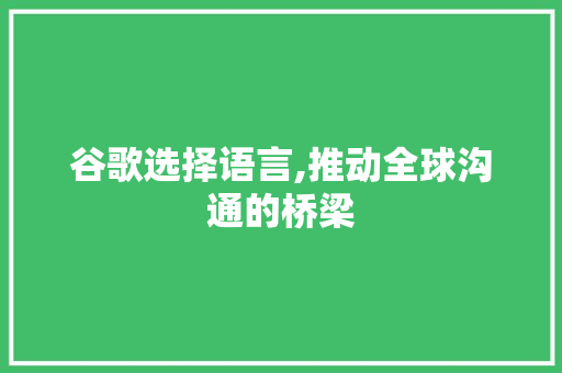 谷歌选择语言,推动全球沟通的桥梁