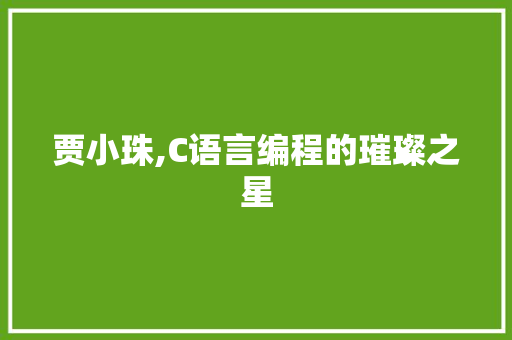 贾小珠,C语言编程的璀璨之星