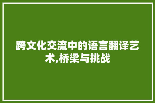 跨文化交流中的语言翻译艺术,桥梁与挑战