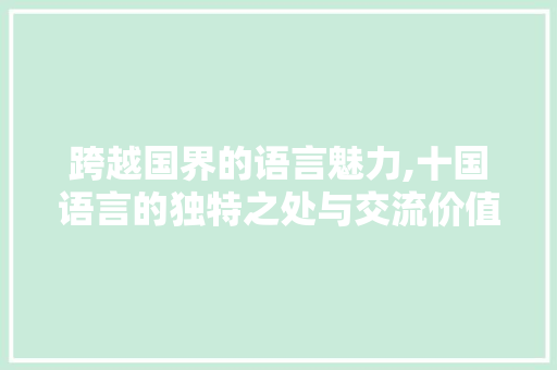 跨越国界的语言魅力,十国语言的独特之处与交流价值