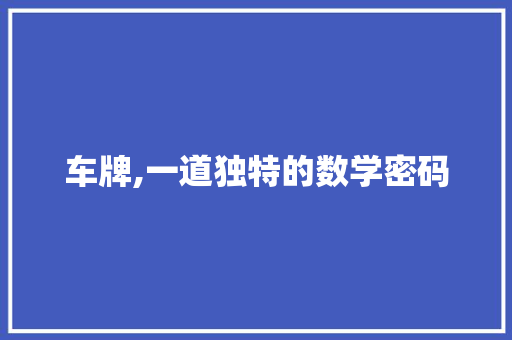 车牌,一道独特的数学密码