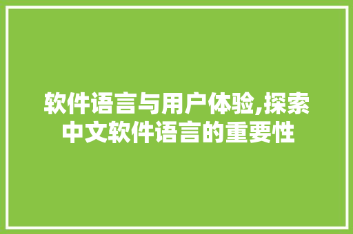 软件语言与用户体验,探索中文软件语言的重要性