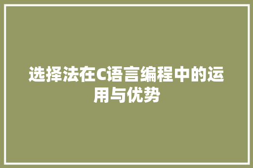 选择法在C语言编程中的运用与优势