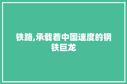 铁路,承载着中国速度的钢铁巨龙