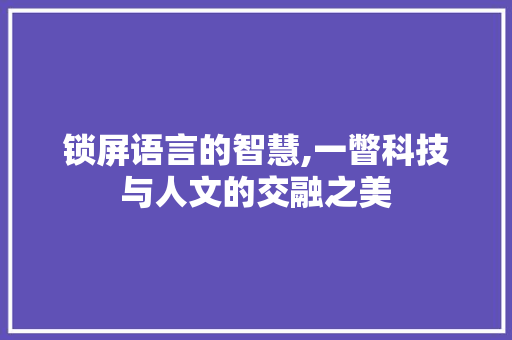 锁屏语言的智慧,一瞥科技与人文的交融之美