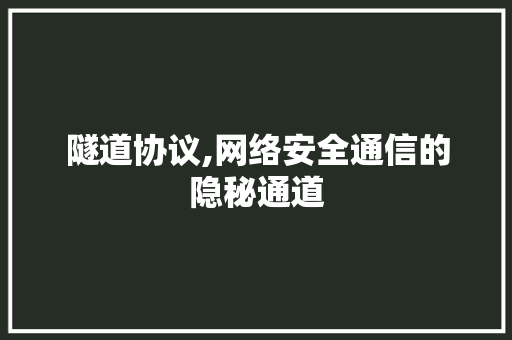 隧道协议,网络安全通信的隐秘通道