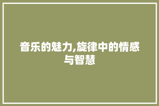 音乐的魅力,旋律中的情感与智慧