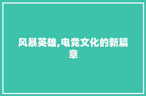 风暴英雄,电竞文化的新篇章