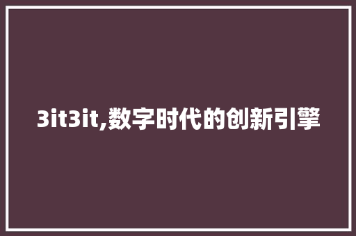 3it3it,数字时代的创新引擎