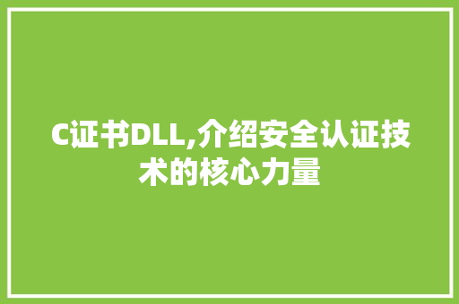 C证书DLL,介绍安全认证技术的核心力量