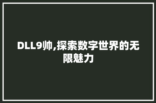 DLL9帅,探索数字世界的无限魅力