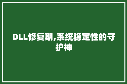 DLL修复期,系统稳定性的守护神