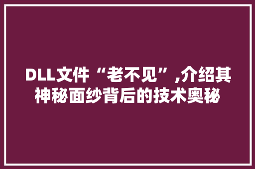 DLL文件“老不见”,介绍其神秘面纱背后的技术奥秘