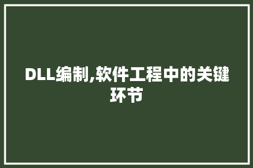 DLL编制,软件工程中的关键环节