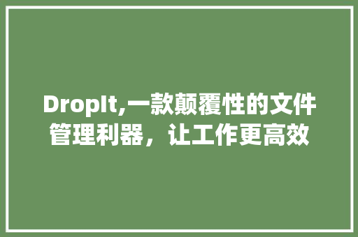 DropIt,一款颠覆性的文件管理利器，让工作更高效