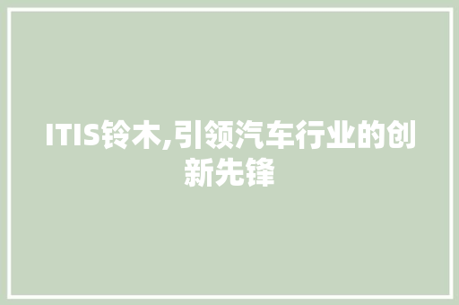 ITIS铃木,引领汽车行业的创新先锋