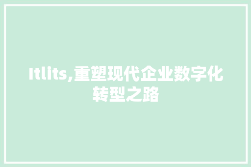 Itlits,重塑现代企业数字化转型之路