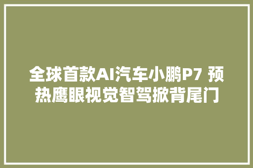 全球首款AI汽车小鹏P7 预热鹰眼视觉智驾掀背尾门