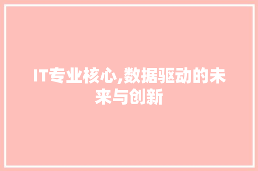 IT专业核心,数据驱动的未来与创新