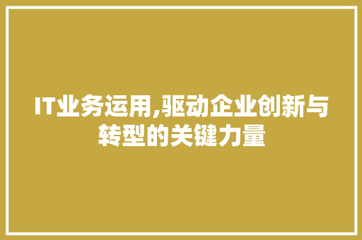 IT业务运用,驱动企业创新与转型的关键力量