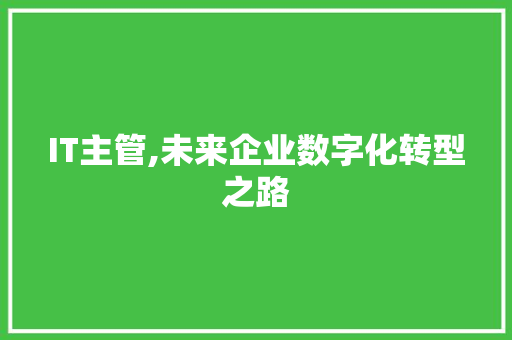 IT主管,未来企业数字化转型之路