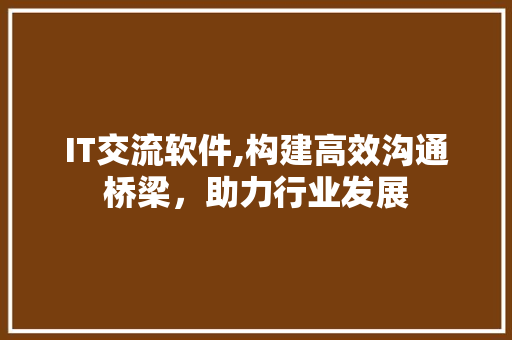 IT交流软件,构建高效沟通桥梁，助力行业发展