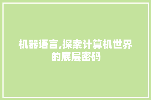 机器语言,探索计算机世界的底层密码