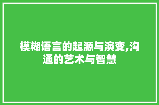 模糊语言的起源与演变,沟通的艺术与智慧