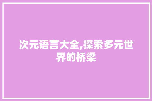 次元语言大全,探索多元世界的桥梁