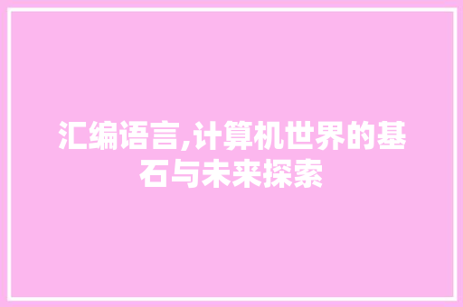 汇编语言,计算机世界的基石与未来探索