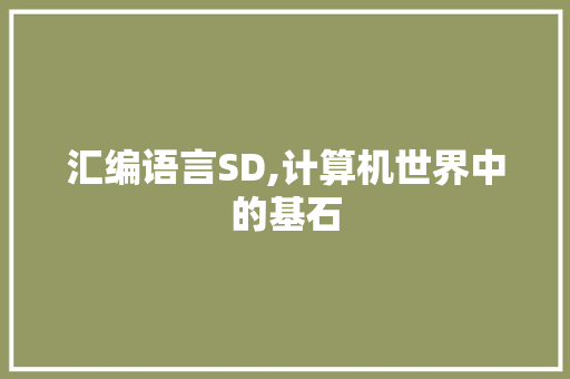 汇编语言SD,计算机世界中的基石