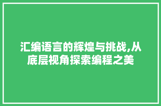 汇编语言的辉煌与挑战,从底层视角探索编程之美