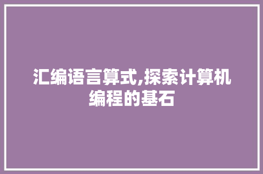 汇编语言算式,探索计算机编程的基石