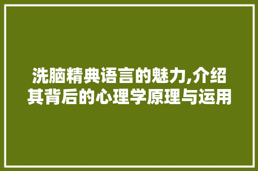 洗脑精典语言的魅力,介绍其背后的心理学原理与运用