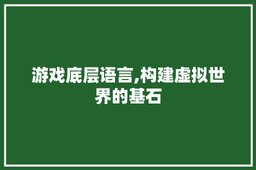 游戏底层语言,构建虚拟世界的基石