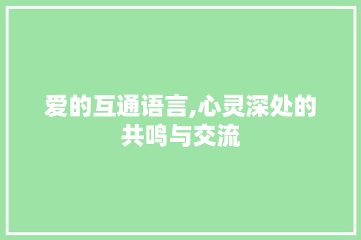 爱的互通语言,心灵深处的共鸣与交流