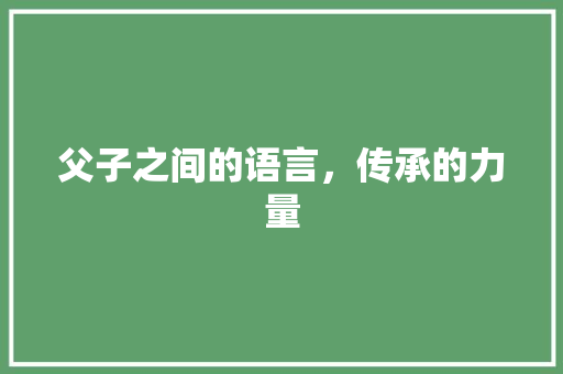 父子之间的语言，传承的力量