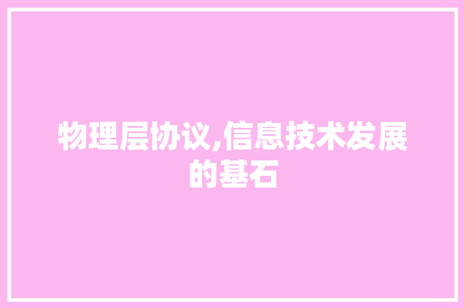 物理层协议,信息技术发展的基石